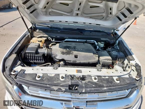 2017 Chevrolet Colorado 2WD WT with VIN 1GCGSBENXH1295218, listed as a Copart auction lot 80006465 with 135,224 mi miles and Salvage title. Bid and sale history available at DreamBid. Image 11.