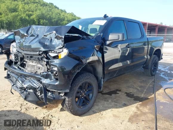 2024 Chevrolet Silverado 1500 Custom Trail Boss z VIN 3GCUDCE84RG425834, wystawiony jako IAAI lot #42396212 z przebiegiem 16 564 mil mil oraz . Historia ofert i sprzedaży dostępna na DreamBid. Obrazek 2.