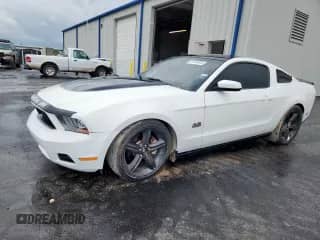 2010 Ford Mustang GT с VIN 1ZVBP8CH5A5101394, выставлен на аукционе Copart как лот 81344835 с пробегом 213 980 миль миль и Чистый • Clean title. История ставок и продаж доступна на DreamBid. Изображение 1.