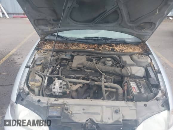 2002 Chevrolet Cavalier LS с VIN 1G1JF524427469093, выставлен на аукционе IAAI как лот 43024863 с пробегом Не указан миль и . История ставок и продаж доступна на DreamBid. Изображение 10.