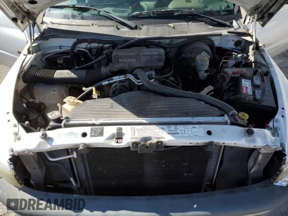 2001 Dodge 1500 with VIN 1B7HC16Y71S296962, listed as a Copart auction lot 51835095 with 249,330 mi miles and Salvage title. Bid and sale history available at DreamBid. Image 11.