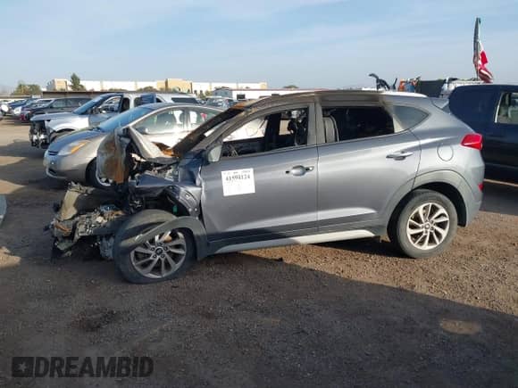 2017 Hyundai Tucson SE with VIN KM8J33A46HU532416, listed as a IAAI auction lot 41594124 with Not provided miles and . Bid and sale history available at DreamBid. Image 14.