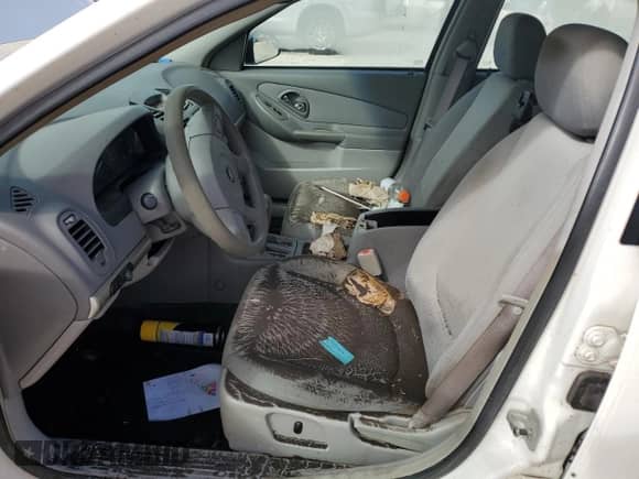 2005 Chevrolet Malibu z VIN 1G1ZS52F35F215949, wystawiony jako Copart lot #74637944 z przebiegiem Nie podano mil oraz Szkoda całkowita • Salvage title. Historia ofert i sprzedaży dostępna na DreamBid. Obrazek 7.