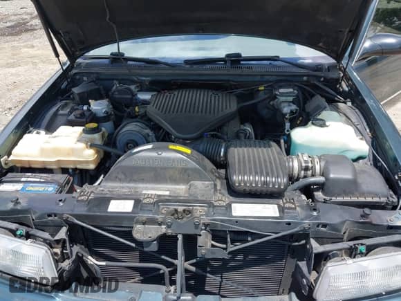 1996 Chevrolet Caprice 1SA Special Value с VIN 1G1BL52P2TR156203, выставлен на аукционе IAAI как лот 42406399 с пробегом 65 914 миль миль и . История ставок и продаж доступна на DreamBid. Изображение 10.