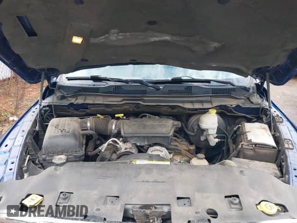 2009 Dodge 1500 SLT with VIN 1D3HB13P29S757051, listed as a IAAI auction lot 42124041 with 131,847 mi miles and . Bid and sale history available at DreamBid. Image 10.