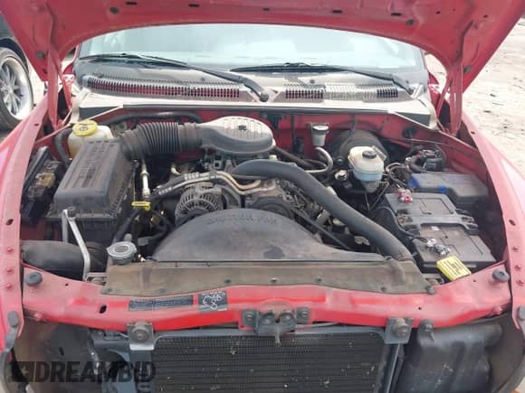 1999 Dodge Dakota SLT z VIN 1B7GL22X2XS129464, wystawiony jako IAAI lot #41975506 z przebiegiem 99 437 mil mil oraz . Historia ofert i sprzedaży dostępna na DreamBid. Obrazek 10.