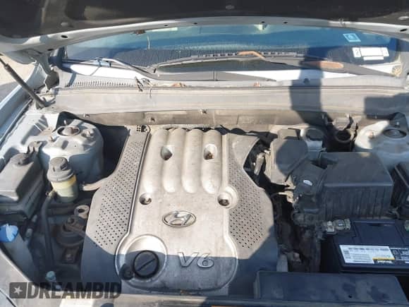 2007 Hyundai Santa Fe GLS z VIN 5NMSG13D37H002442, wystawiony jako IAAI lot #43231469 z przebiegiem 167 545 mil mil oraz . Historia ofert i sprzedaży dostępna na DreamBid. Obrazek 10.