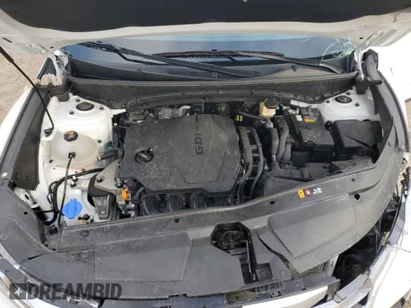 2022 Hyundai Santa Cruz SEL с VIN 5NTJCDAE0NH017793, выставлен на аукционе Copart как лот 67516234 с пробегом 32 470 миль миль и Списание • Salvage title. История ставок и продаж доступна на DreamBid. Изображение 11.