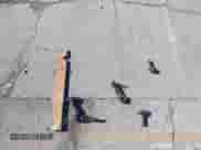 2000 Chevrolet Blazer LT z VIN 1GNDT13W6Y2173186, wystawiony jako IAAI lot #43576879 z przebiegiem 144 144 mil mil oraz . Historia ofert i sprzedaży dostępna na DreamBid. Obrazek 12.