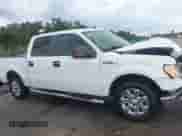 2013 Ford F-150 XL z VIN 1FTFW1CF0DFA86251, wystawiony jako IAAI lot #43299173 z przebiegiem 122 816 mil mil oraz . Historia ofert i sprzedaży dostępna na DreamBid. Obrazek 13.