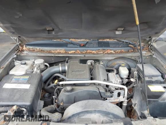 2003 Chevrolet TrailBlazer LTZ с VIN 1GNDT13S232399196, выставлен на аукционе IAAI как лот 42683347 с пробегом 194 095 миль миль и . История ставок и продаж доступна на DreamBid. Изображение 10.