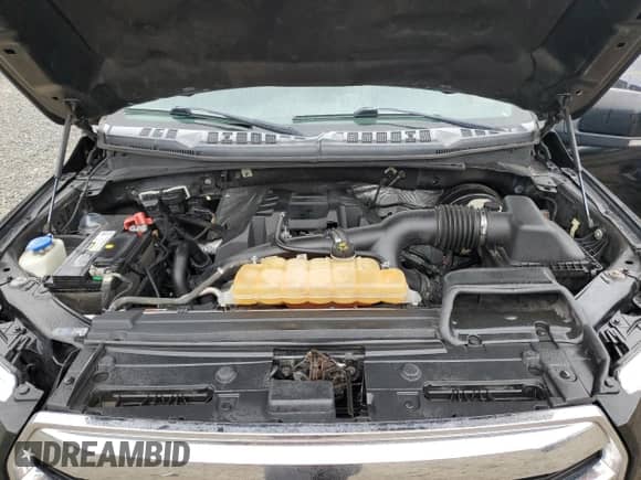 2016 Ford F-150 XL z VIN 1FTEW1CP8GKF02059, wystawiony jako Copart lot #84005275 z przebiegiem 216 182 mil mil oraz Czysty tytuł • Clean title. Historia ofert i sprzedaży dostępna na DreamBid. Obrazek 11.