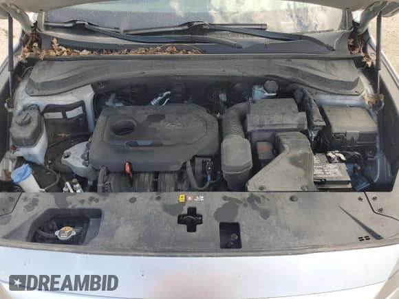 2020 Hyundai Santa Fe SEL with VIN 5NMS3CAD3LH231594, listed as a Copart auction lot 80071735 with 66,784 mi miles and Salvage title. Bid and sale history available at DreamBid. Image 12.