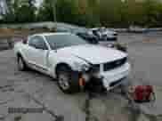 2009 Ford Mustang with VIN 1ZVHT80N995122020, listed as a Copart auction lot 85936615 with 126,766 mi miles and Salvage title. Bid and sale history available at DreamBid. Image 13.