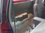 2003 Chevrolet S-10 LS z VIN 1GCCS19H138142854, wystawiony jako IAAI lot #41395488 z przebiegiem 81 537 mil mil oraz . Historia ofert i sprzedaży dostępna na DreamBid. Obrazek 8.