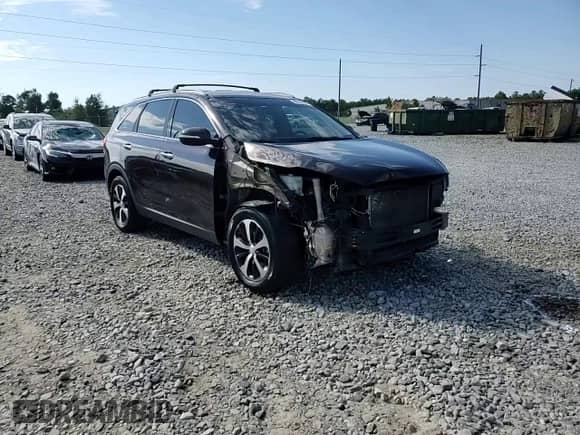 2016 Kia Sorento EX с VIN 5XYPH4A52GG134361, выставлен на аукционе Copart как лот 80134605 с пробегом 205 280 миль миль и Списание • Salvage title. История ставок и продаж доступна на DreamBid. Изображение 15.