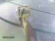 2004 Toyota Tacoma PreRunner z VIN 5TESM92N34Z360203, wystawiony jako IAAI lot #42168622 z przebiegiem 234 157 mil mil oraz . Historia ofert i sprzedaży dostępna na DreamBid. Obrazek 11.