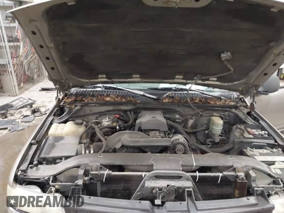 1999 Chevrolet Silverado 1500 LT с VIN 1GCEK14T8XE192646, выставлен на аукционе IAAI как лот 41777519 с пробегом 289 532 миль миль и . История ставок и продаж доступна на DreamBid. Изображение 10.