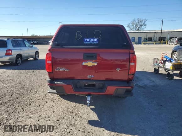 2019 Chevrolet Colorado 2WD Z71 with VIN 1GCGSDEA6K1180972, listed as a Copart auction lot 80566814 with Not provided miles and Salvage title. Bid and sale history available at DreamBid. Image 6.