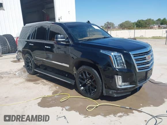 2017 Cadillac Escalade Platinum with VIN 1GYS4DKJ9HR290766, listed as a IAAI auction lot 42739598 with 114,085 mi miles and . Bid and sale history available at DreamBid. Image 1.