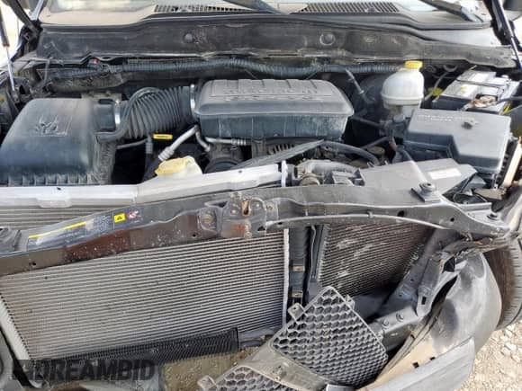 2004 Dodge 1500 ST z VIN 1D7HA16K94J276021, wystawiony jako Copart lot #80213595 z przebiegiem 202 188 mil mil oraz Szkoda całkowita • Salvage title. Historia ofert i sprzedaży dostępna na DreamBid. Obrazek 11.