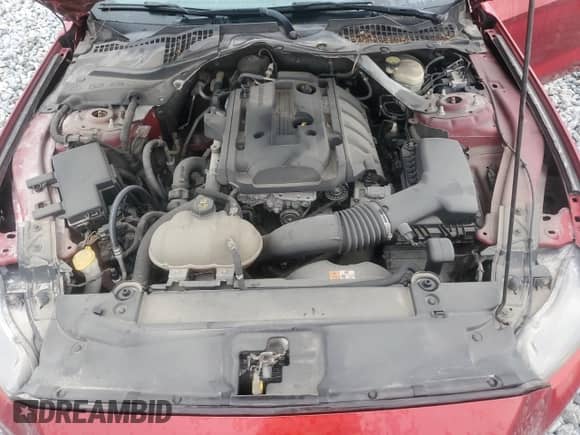2016 Ford Mustang EcoBoost Premium with VIN 1FATP8UH6G5217272, listed as a Copart auction lot 80497295 with Not provided miles and Salvage title. Bid and sale history available at DreamBid. Image 11.