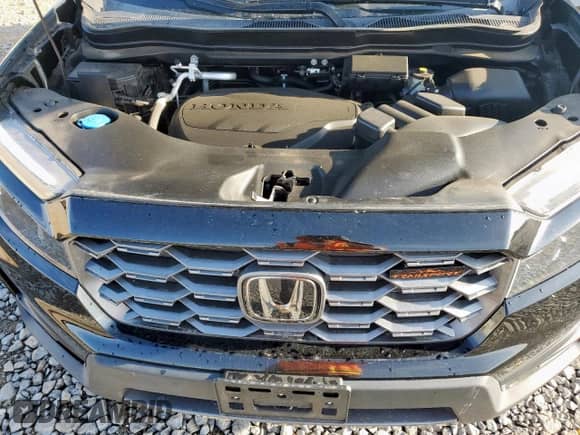 2022 Honda Passport TrailSport with VIN 5FNYF8H60NB004258, listed as a Copart auction lot 69569925 with 58,639 mi miles and Salvage title. Bid and sale history available at DreamBid. Image 12.