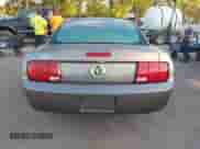 2005 Ford Mustang Deluxe with VIN 1ZVFT80N855119319, listed as a IAAI auction lot 43340661 with 106,385 mi miles and . Bid and sale history available at DreamBid. Image 16.