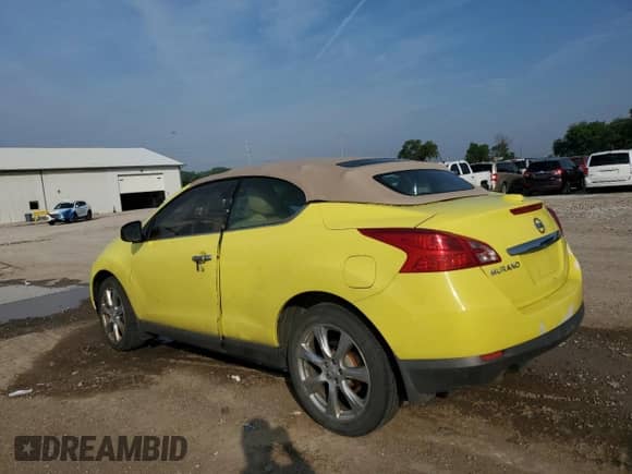 2014 Nissan Murano with VIN JN8AZ1FY6EW300552, listed as a Copart auction lot 59893425 with 161,442 mi miles and Salvage title. Bid and sale history available at DreamBid. Image 2.