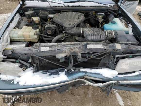 1996 Chevrolet Caprice 1SA Special Value с VIN 1G1BL52W7TR141932, выставлен на аукционе Copart как лот 45181475 с пробегом Не указан миль и Чистый • Clean title. История ставок и продаж доступна на DreamBid. Изображение 11.