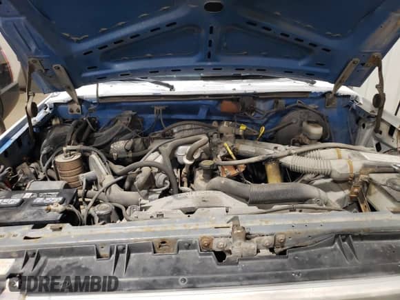 1989 Ford F-150 with VIN 1FTEF14Y7KKB65464, listed as a Copart auction lot 85364165 with 88,573 mi miles and Salvage title. Bid and sale history available at DreamBid. Image 11.