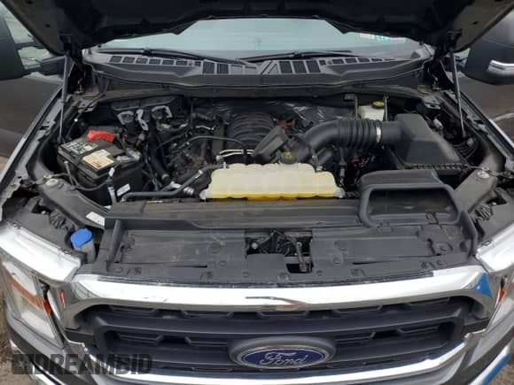2021 Ford F-150 XL with VIN 1FTMF1E57MKD42212, listed as a Copart auction lot 61053984 with Not provided miles and Salvage title. Bid and sale history available at DreamBid. Image 12.