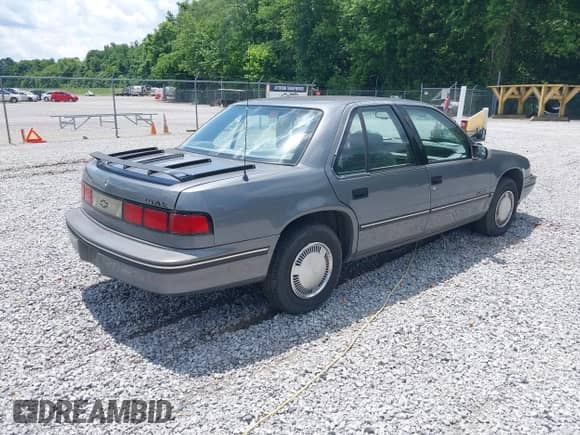 1993 Chevrolet Lumina с VIN 2G1WL54T7P9165572, выставлен на аукционе IAAI как лот 42359917 с пробегом 89 631 миль миль и . История ставок и продаж доступна на DreamBid. Изображение 4.