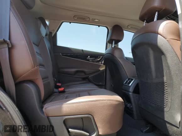 2019 Kia Sorento SX with VIN 5XYPK4A52KG454953, listed as a Copart auction lot 52081915 with 80,248 mi miles and Salvage title. Bid and sale history available at DreamBid. Image 11.