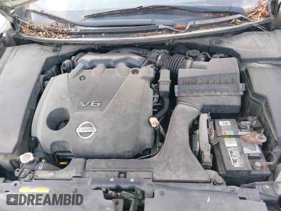 2014 Nissan Maxima SV z VIN 1N4AA5AP6EC446580, wystawiony jako IAAI lot #42762381 z przebiegiem 184 665 mil mil oraz . Historia ofert i sprzedaży dostępna na DreamBid. Obrazek 10.