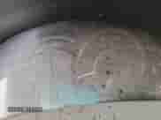 2007 Toyota Camry с VIN JTNBB46K773004599, выставлен на аукционе Copart как лот 87043455 с пробегом Не указан миль и Чистый • Clean title. История ставок и продаж доступна на DreamBid. Изображение 9.