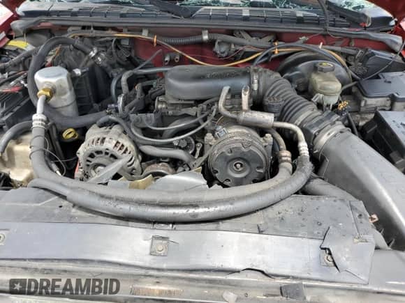 1998 Chevrolet Blazer LS with VIN 1GNCS13WXW2135178, listed as a Copart auction lot 60101125 with Not provided miles and Salvage title. Bid and sale history available at DreamBid. Image 12.