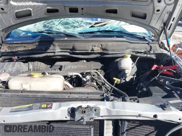 2004 Dodge 1500 SLT with VIN 1D7HU16D04J171439, listed as a IAAI auction lot 40637134 with 116,050 mi miles and . Bid and sale history available at DreamBid. Image 10.