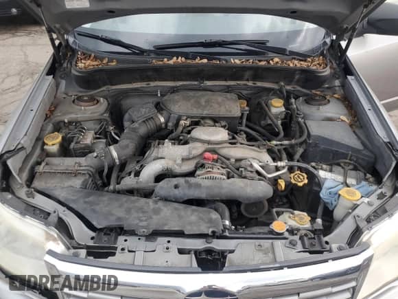 2010 Subaru Forester X с VIN JF2SH6BC3AG913809, выставлен на аукционе Copart как лот 65800225 с пробегом 213 561 миль миль и Чистый • Clean title. История ставок и продаж доступна на DreamBid. Изображение 11.