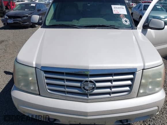 2002 Cadillac Escalade with VIN 1GYEK63N12R294818, listed as a IAAI auction lot 42644586 with 250,395 mi miles and . Bid and sale history available at DreamBid. Image 10.