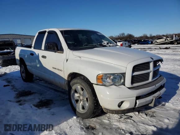 2002 Dodge RAM with VIN 1D3HA18N82J182119, listed as a Copart auction lot 87722745 with 233,899 mi miles and Salvage title. Bid and sale history available at DreamBid. Image 4.
