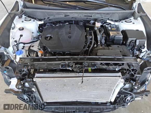 2024 Hyundai Santa Cruz SEL z VIN 5NTJBDDE7RH108838, wystawiony jako Copart lot #80703594 z przebiegiem 11 524 mil mil oraz Czysty tytuł • Clean title. Historia ofert i sprzedaży dostępna na DreamBid. Obrazek 11.