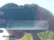 2013 Ford F-150 XLT с VIN 1FTFW1EF1DKF30936, выставлен на аукционе IAAI как лот 42741717 с пробегом 185 776 миль миль и . История ставок и продаж доступна на DreamBid. Изображение 18.