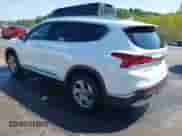 2022 Hyundai Santa Fe SEL с VIN 5NMS24AJ7NH417091, выставлен на аукционе IAAI как лот 43058218 с пробегом 38 970 миль миль и . История ставок и продаж доступна на DreamBid. Изображение 3.