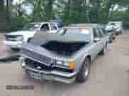 1986 Chevrolet Caprice с VIN 1G1BN35Y3GX198075, выставлен на аукционе IAAI как лот 42616295 с пробегом 95 011 миль миль и . История ставок и продаж доступна на DreamBid. Изображение 2.