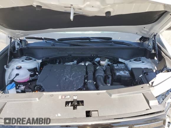 2024 Hyundai Santa Fe XRT с VIN 5NMP3DGL7RH048332, выставлен на аукционе Copart как лот 61616464 с пробегом 171 миль миль и Списание • Salvage title. История ставок и продаж доступна на DreamBid. Изображение 12.