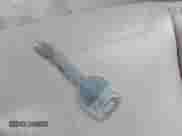 1998 Subaru Forester S with VIN JF1SF6558WH700928, listed as a IAAI auction lot 42507465 with 158,956 mi miles and . Bid and sale history available at DreamBid. Image 11.