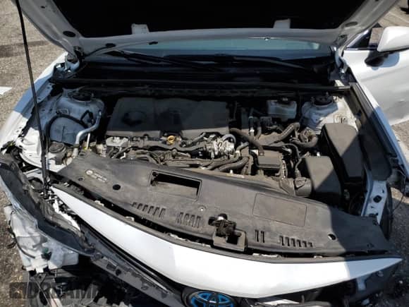 2021 Toyota Camry Hybrid XLE with VIN 4T1F31AKXMU553174, listed as a Copart auction lot 66007645 with Not provided miles and Salvage title. Bid and sale history available at DreamBid. Image 11.