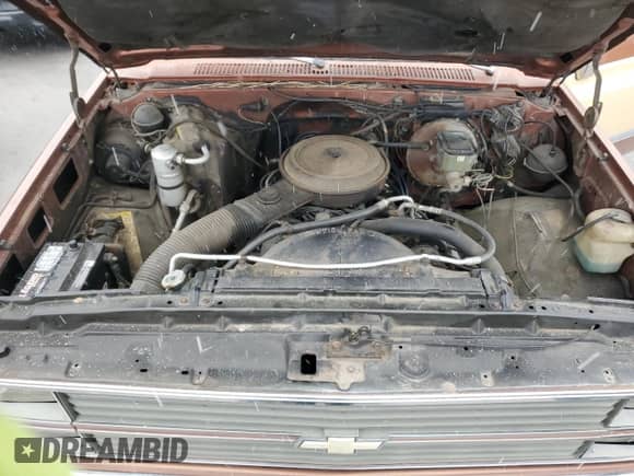 1983 Chevrolet Silverado 1500 z VIN 1GCDC14H0DF358975, wystawiony jako Copart lot #84255244 z przebiegiem 88 141 mil mil oraz Czysty tytuł • Clean title. Historia ofert i sprzedaży dostępna na DreamBid. Obrazek 11.