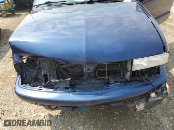 2001 Chevrolet Blazer LS z VIN 1GNCT18W01K164848, wystawiony jako Copart lot #59951705 z przebiegiem 109 273 mil mil oraz Nie do naprawy • Non repairable. Historia ofert i sprzedaży dostępna na DreamBid. Obrazek 11.